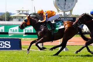 Avantage (Fastnet Rock), winner of Leg 2 in the NZB Insurance Sprint Triple Crown.